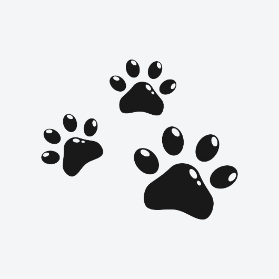 Special Dog Paws Tattoo